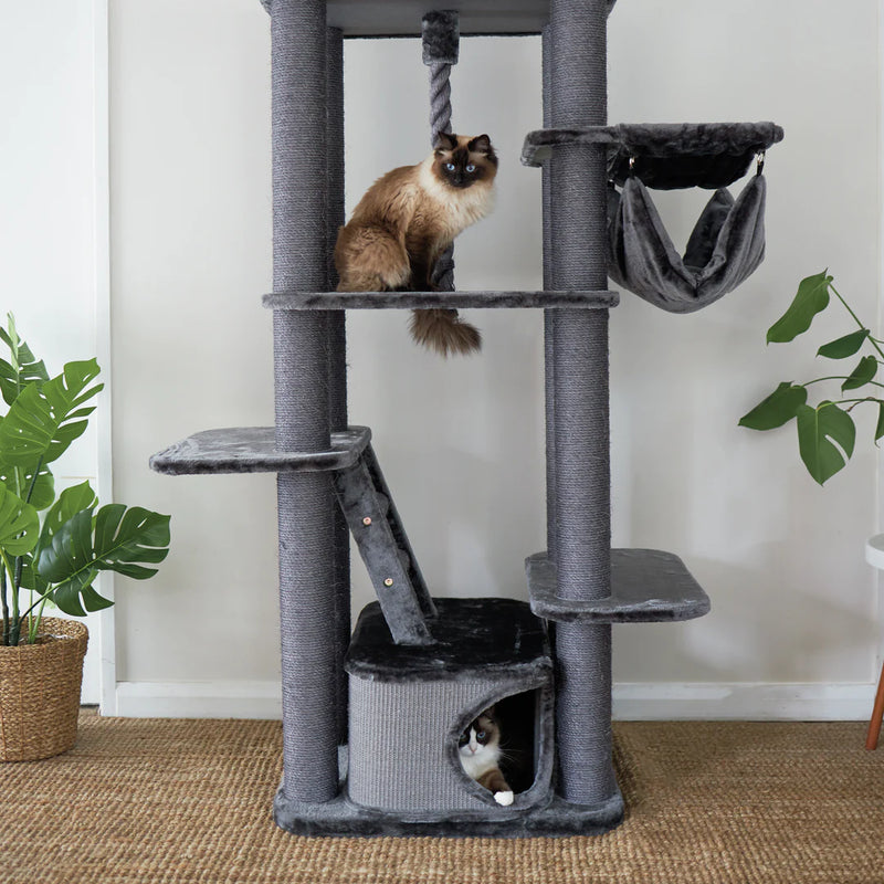 Kazoo Kitty Climb Playground