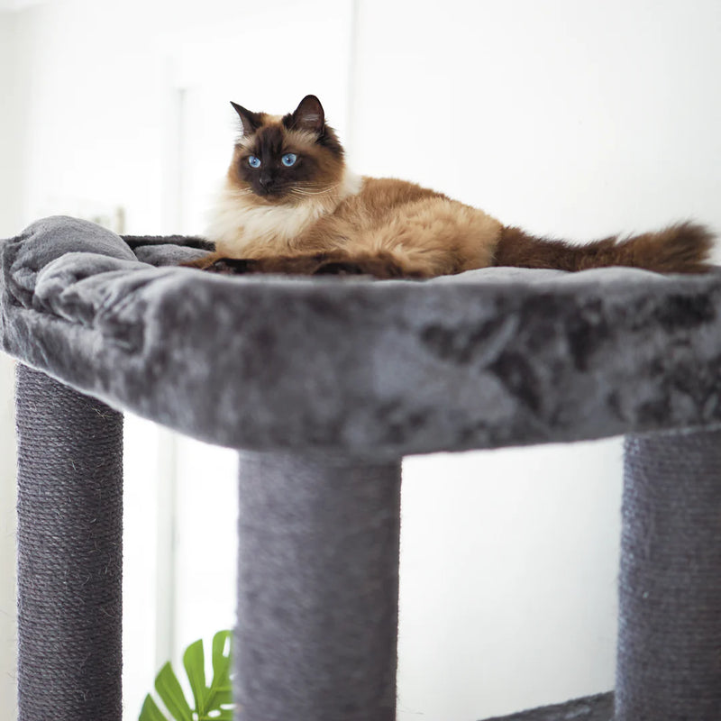 Kazoo Kitty Climb Playground