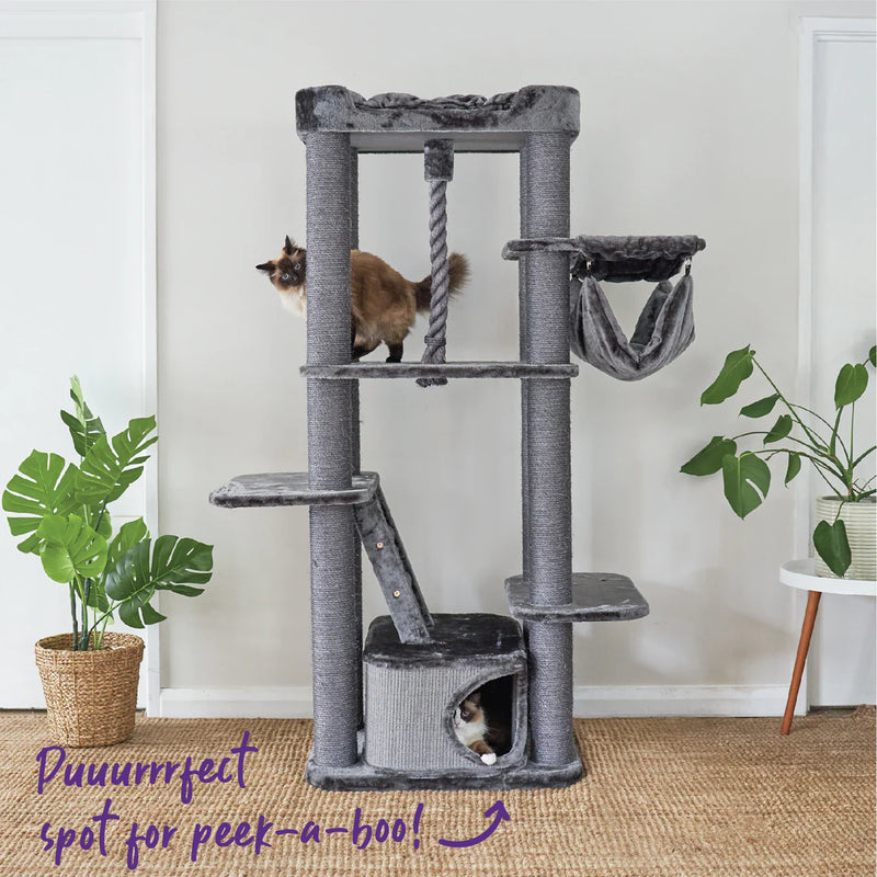 Kazoo Kitty Climb Playground