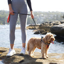 ACTIVE  NYLON COLLAR SLATE MEDIUM