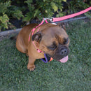 Kazoo Nylon Lead Bloom Burst