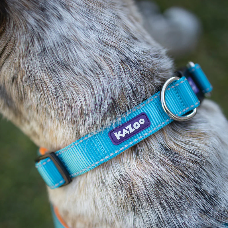 Kazoo Active Adjust Collar