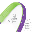 Kazoo Lead Purple and Lime