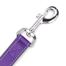 Kazoo Lead Purple and Lime