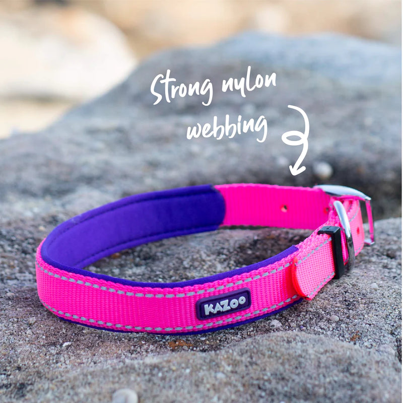 Kazoo Active Collar