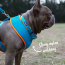 Kazoo Soft Walking Harness Ocean Sunrise