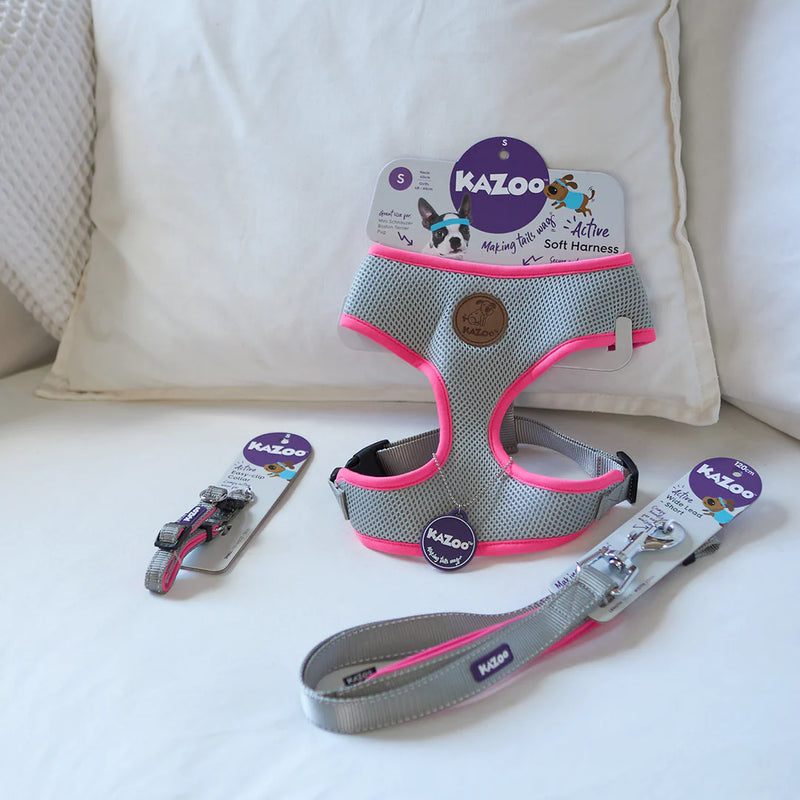 Kazoo Soft Walking Harness