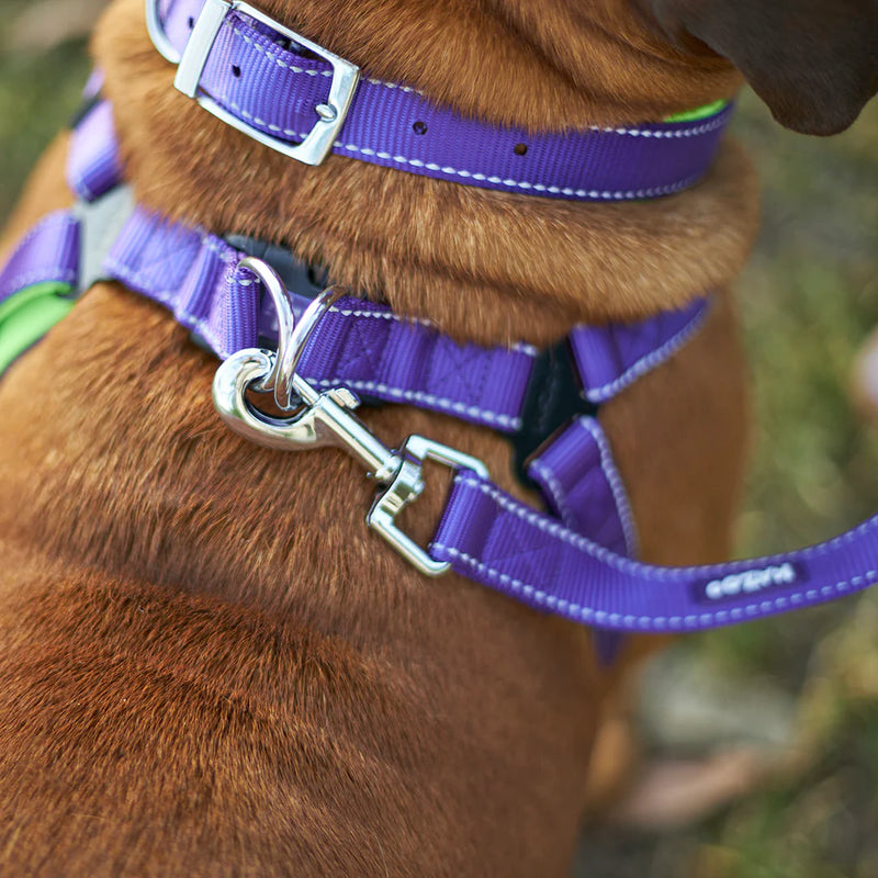 ACTIVE  NYLON COLLAR PURPLE MEDIUM