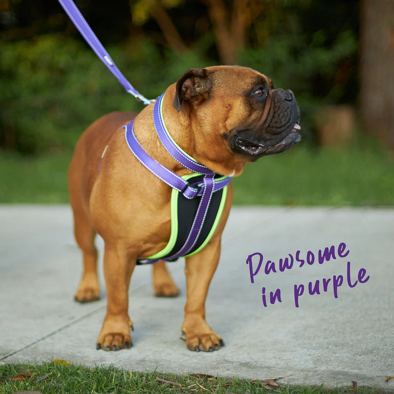 ACTIVE  NYLON COLLAR PURPLE MEDIUM