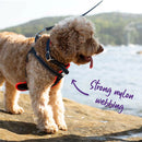 ACTIVE  NYLON COLLAR SLATE XLARGE