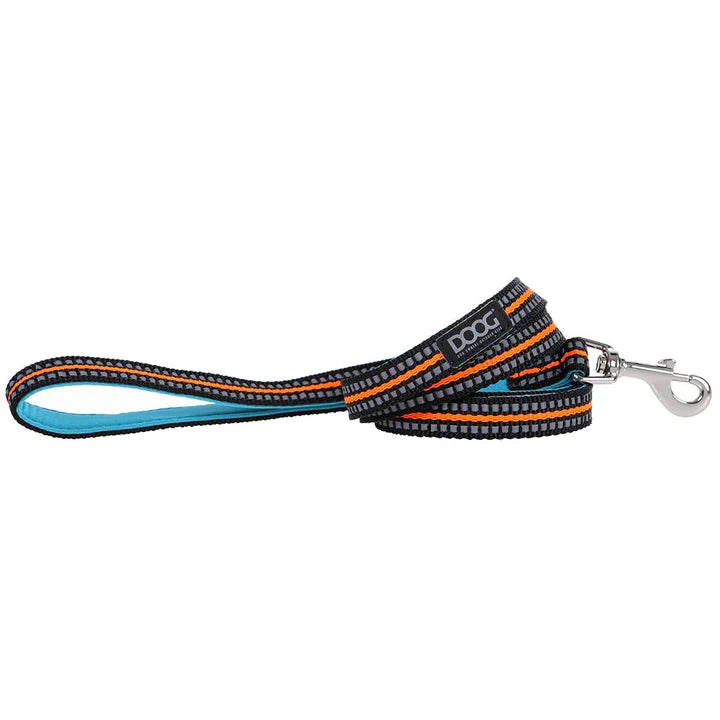 Doog Beethoven Lead Large