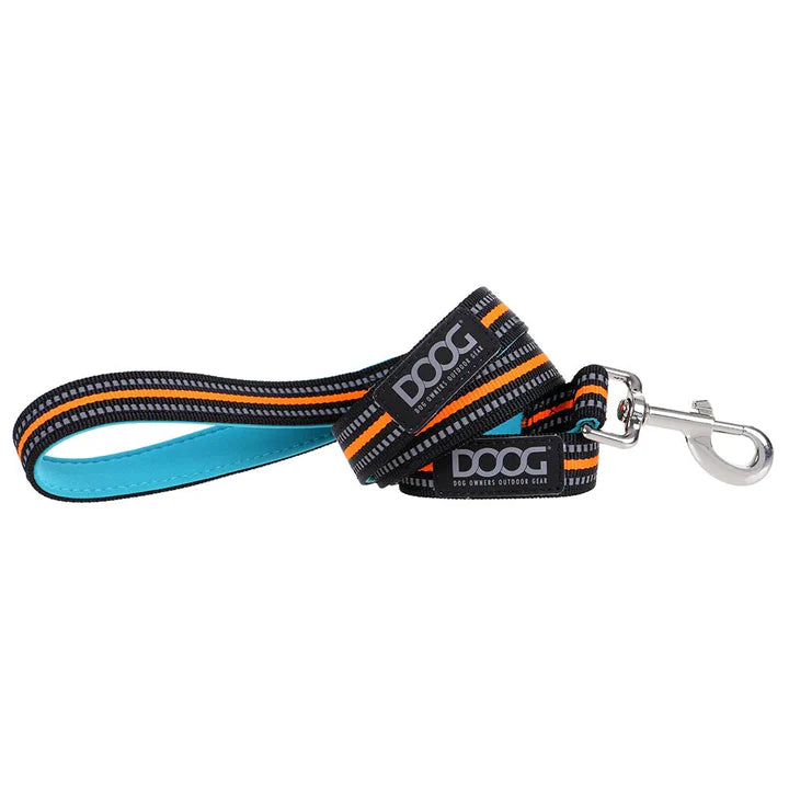 Doog Beethoven Lead Small