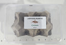 LIVEFOODS MEDIUM CRICKETS