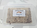 LIVEFOODS GIANT MEALWORMS LARGE