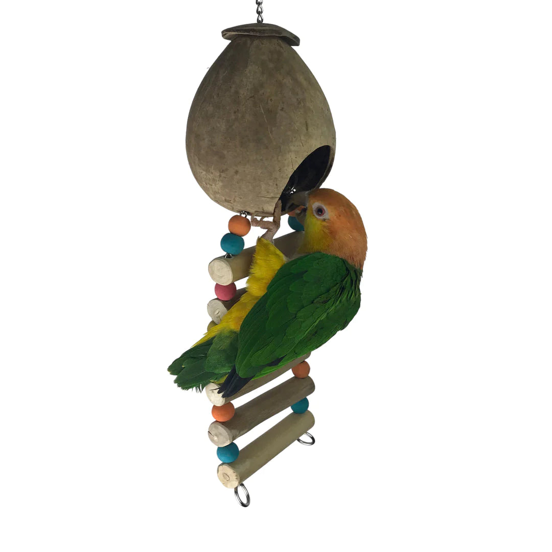 JAVA COCO LADDER NEST