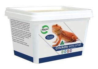 XSMALL CRICKETS 50/TUB