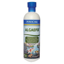 API ALGAEFIX FOR PONDS 480ML TREAT