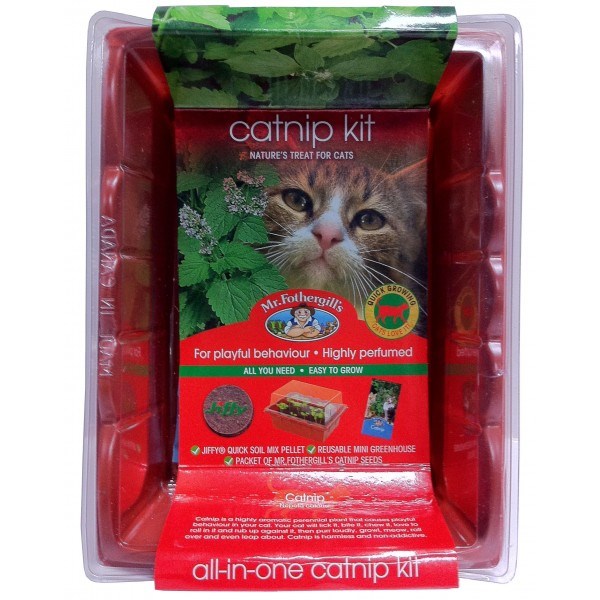 MR FOTHERGILL'S CATNIP