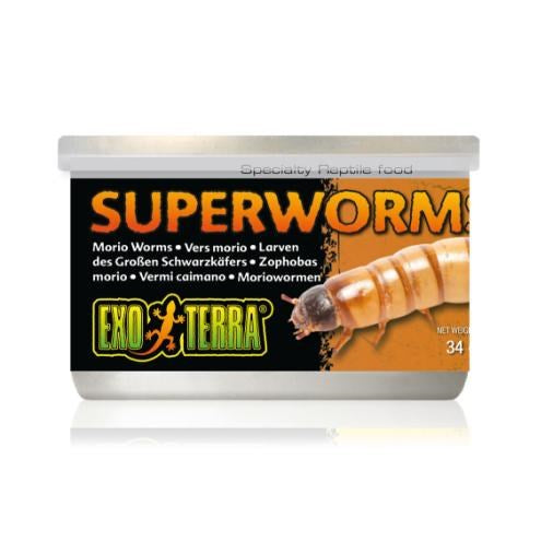 EXO TERRA SUPERWORMS 34GM