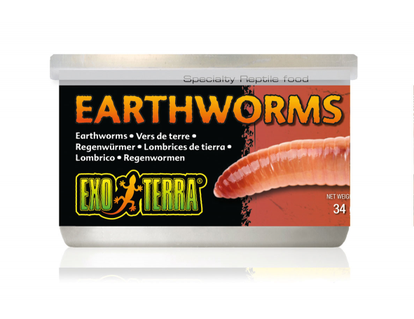EXO TERRA EARTHWORMS 34GM