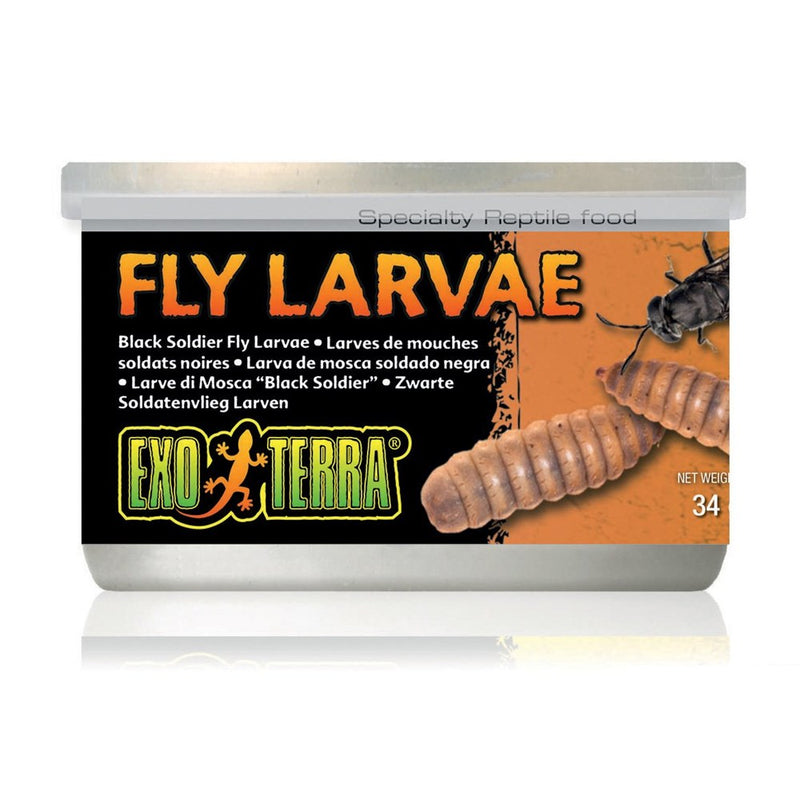 EXO TERRA BLACK SOLDIER FLY LARVAE 34GM