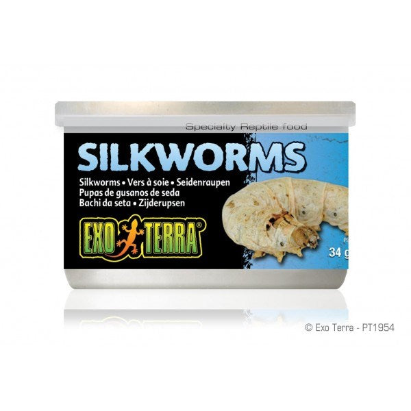 EXO TERRA SILKWORMS MEDIUM 34GM