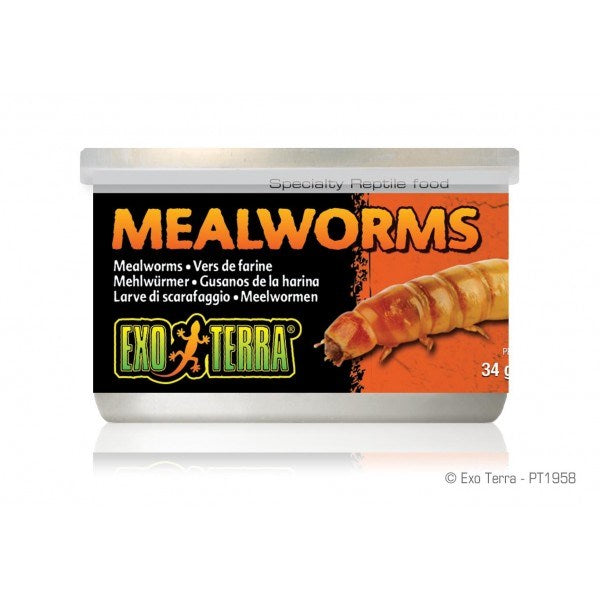 EXO TERRA MEALWORMS 34G