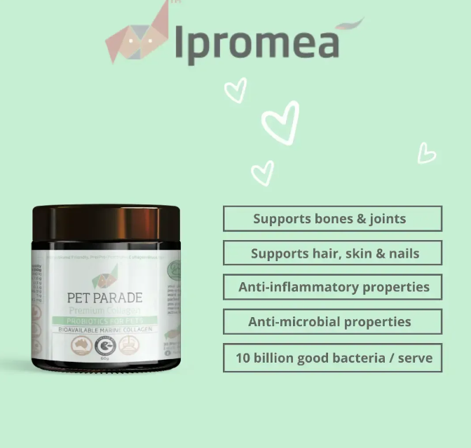 IPROMEA PET PARADE COLLAGEN 60G