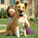 PetSafe Stubborn Dog In Ground Fence Extra Collar