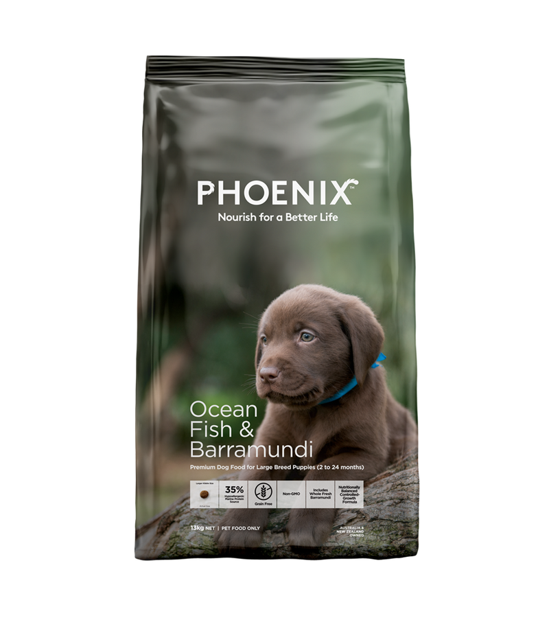 PHOENIX PUPPY LARGE BREED OCEAN FISH 13KG