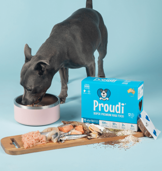 PROUDI DOG OCEAN COMBO & TURKEY 2.4KG