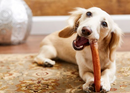 BARK & BEYOND BULLY STICKS 150G