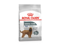ROYAL CANIN MAXI DENTAL CARE 9KG