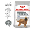 ROYAL CANIN MAXI DENTAL CARE 9KG
