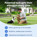 PETSAFE PRO 300M REMOTE TRAINER