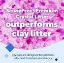 PETSAFE SCOOP FREE PREMIUM CRYSTAL LITTER LAVENDER 3.6KG