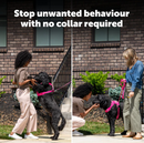 PETSAFE COLLARLESS ULTRASONIC  DOG TRAINER