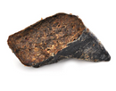 BARK & BEYOND COW HOOF W/ ROO STUFFING