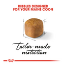 ROYAL CANIN MAINE COON KITTEN 400G