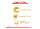 ROYAL CANIN MAINE COON ADULT 4KG