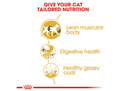 ROYAL CANIN SIAMESE 4KG