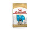ROYAL CANIN PUG PUPPY 500G