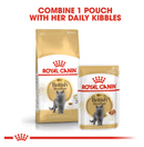ROYAL CANIN BRITISH SHORTHAIR ADULT 400G