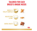 ROYAL CANIN JACK RUSSELL ADULT 500G