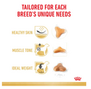 ROYAL CANIN PUG ADULT 500G