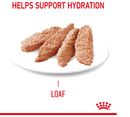 ROYAL CANIN DIGESTIVE CARE LOAF (12) 85G