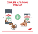 ROYAL CANIN DIGESTIVE CARE LOAF (12) 85G