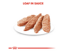ROYAL CANIN DERMACOMFORT LOAF (12) 85G