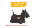 ROYAL CANIN DERMACOMFORT LOAF (12) 85G