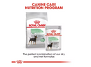 ROYAL CANIN MINI DIGESTIVE CARE 3KG